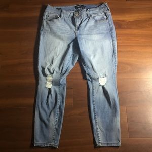 Torrid Jeans